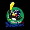 logo image of swallows