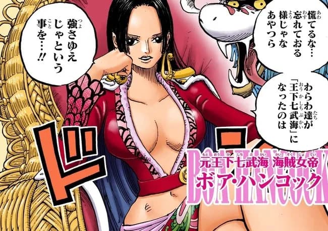 ボア・ハンコック(31)「強いから七武海になったし美しいから何をしようと許される」