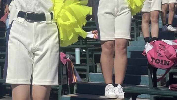 【画像】男子アナさん、甲子園チアの生足に欲情してしまうwwwwww