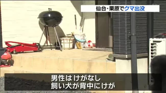 住宅敷地内にクマが侵入！男性は犬と共に車のジャッキを振り回し熊に反撃！犬は負傷！