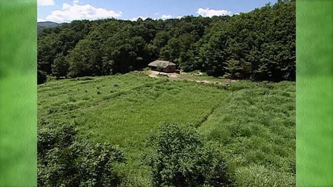 DASH村の当初の目的憶えてる人ってどれくらいおるんやろな