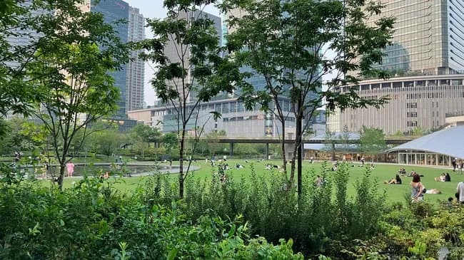 【画像】大阪の公園、外国すぎて腰抜けそう