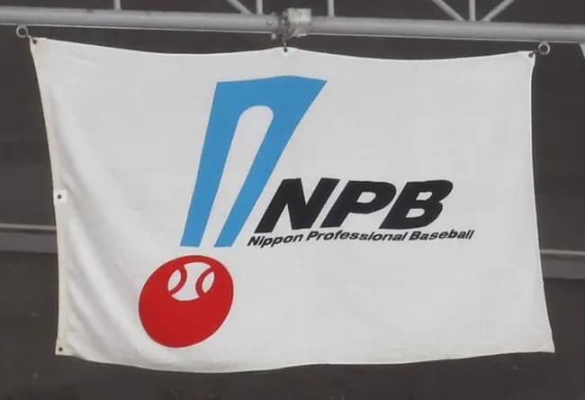 【悲報】NPB、飛ばないボールとZ世代野手の小粒化でクソつまらなくなる