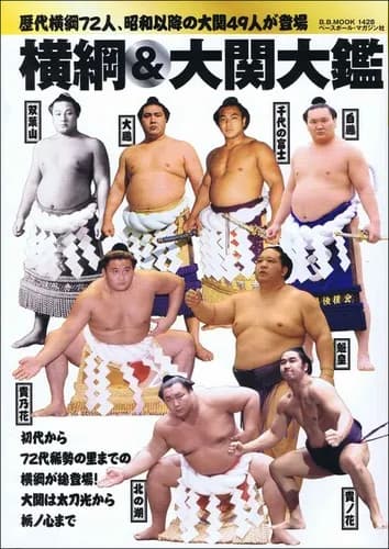 横綱「年収三千万です」　プロ野球一軍「最低でも三千万です」
