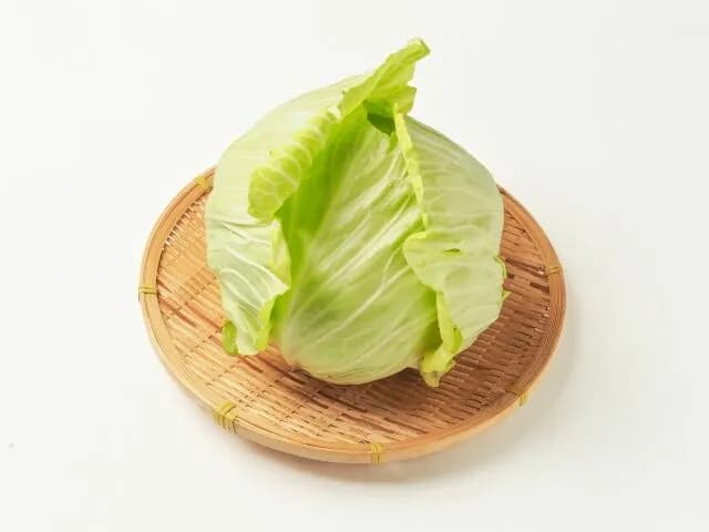 【悲報】キャベツという野菜、よく考えれば意味不明