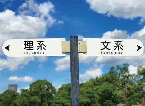【悲報】文系大学ってぶっちゃけ「大卒の資格を獲得できる」以外の目的がひとつも無いよなｗｗｗｗｗｗｗｗｗｗｗｗｗｗｗｗ