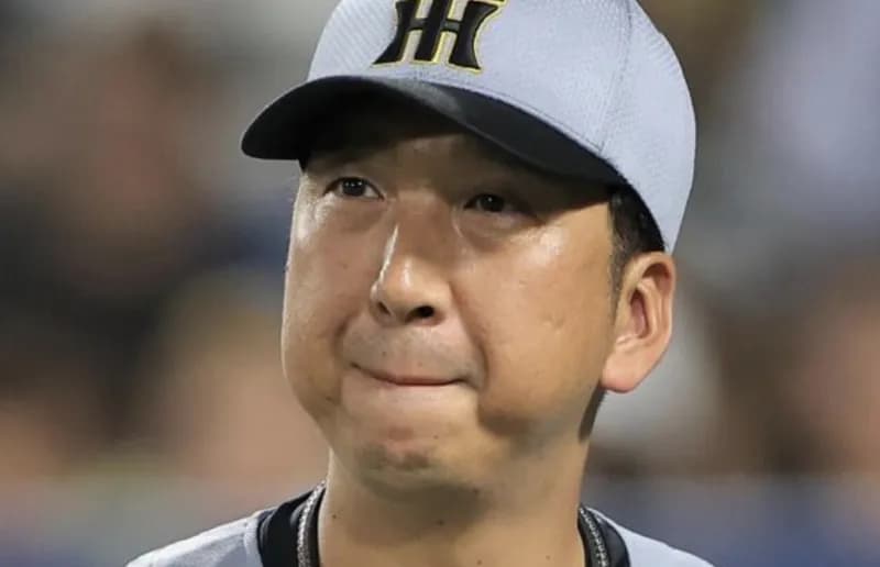 今日ヘルナンデスがタイムリー打ったからスタメンは正解とか言ってる奴