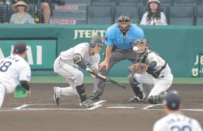 【悲報】他球団スコアラー「巨人選手は四球出したりバントをファウルするとベンチ見て怯えてる」