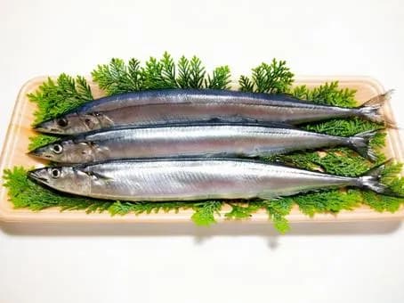 【悲報】漁師「サンマが過去にない大漁なのぉ！すごい！みんな食べてくれ！」→1匹399円ｗｗｗｗｗｗｗｗｗｗｗｗｗｗｗｗ