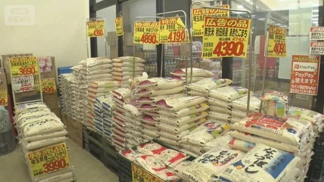 スーパー「今年の新米は5キロ7800円です…かといって備蓄米は売れないし…詰みました」