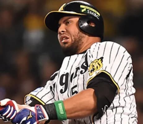 やっぱ助っ人外国人はゴメスみたいに何人かぶっ倒してきた感じの風貌がいいよな