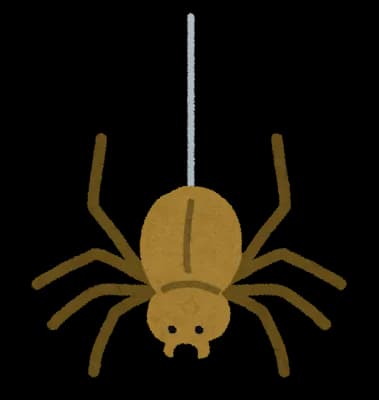 求　蜘蛛を殺す方法