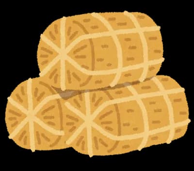 【コメ】「政府備蓄米を大量に委託保管していたのはJA」との指摘　“江藤米”の流通が遅れた真の理由とは