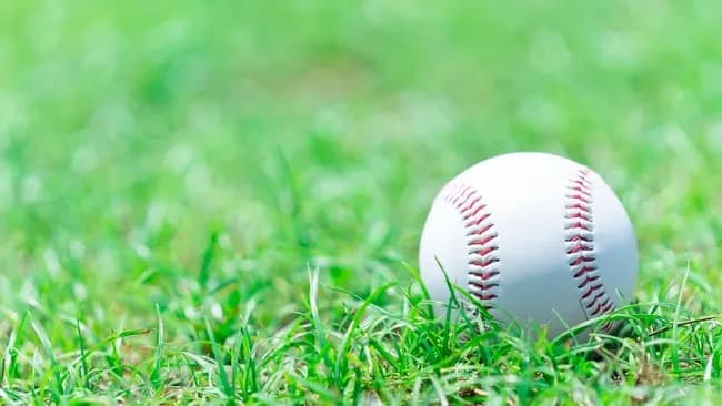 【悲報】野球の歴史上一番話題にならなかった日本シリーズｗｗｗｗｗｗｗｗ