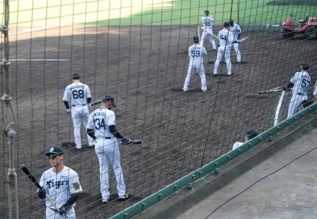 阪神二軍、惨敗したので野手全員居残り素振り