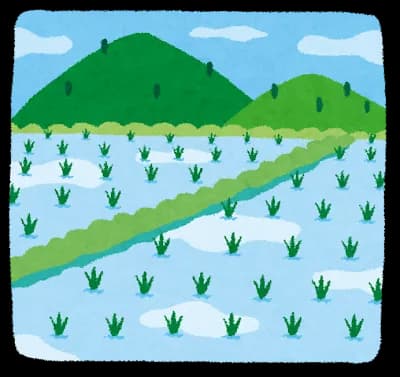 頼みの新米に異変　干上がる田んぼに…枯れ始める苗　コメ農家悲鳴「心折れそう」