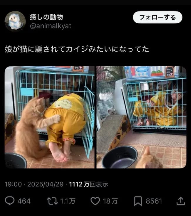 【悲報】X民、嘘松が一線を超えてしまう