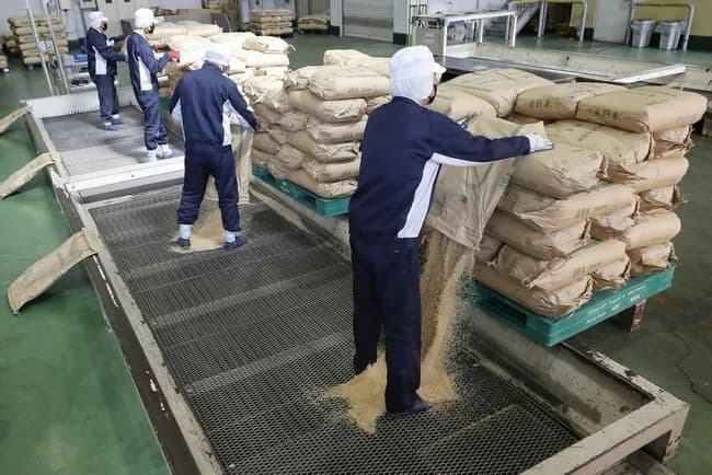 備蓄米が流通しない理由、「袋詰が追いつかない」だけだった