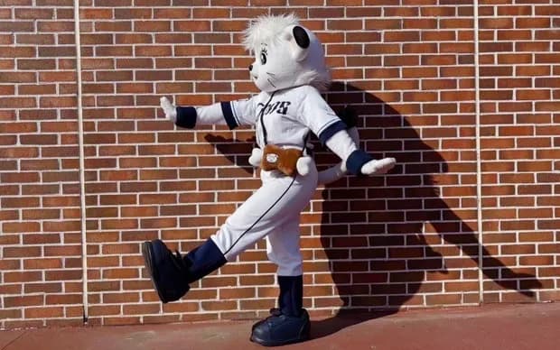 【悲報】ライナのおにくポシェット即完売