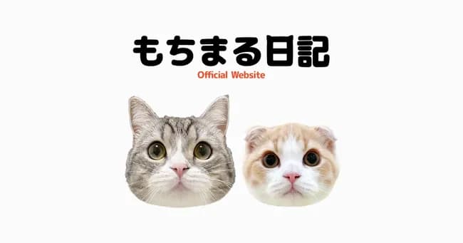 【悲報】もちまる日記「助けて！猫に炭酸水舐めさせたらドン引かれて登録者激なの！どうして？！」