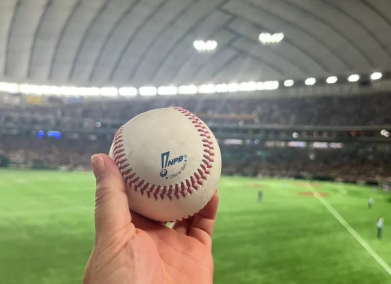 森下翔太のホームランボール獲ったドーｯｯｯｯｯ！！！！