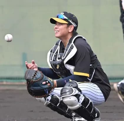 12球団見渡しても欲しい捕手がおらんwwww梅野で十分wwwww