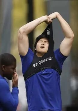 日本人メジャーリーガーのシーズン2桁本塁打2桁盗塁の達成者一覧