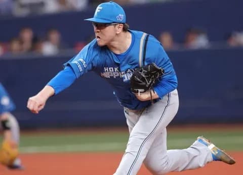 日本ハム・生田目にアクシデント　延長十二回に９番手で登板も右足首を痛め負傷降板