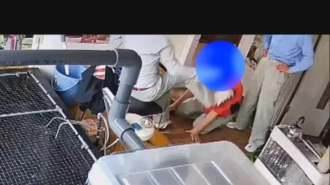 【朗報】花井組、反省し謝罪。社長が弁護士を通じ「被害者にある程度の額の示談金を払いたい」