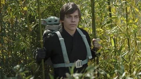 ルーク・スカイウォーカー「妹は王室に引き取られたのに自分は田舎の親戚に預けられました」←これ