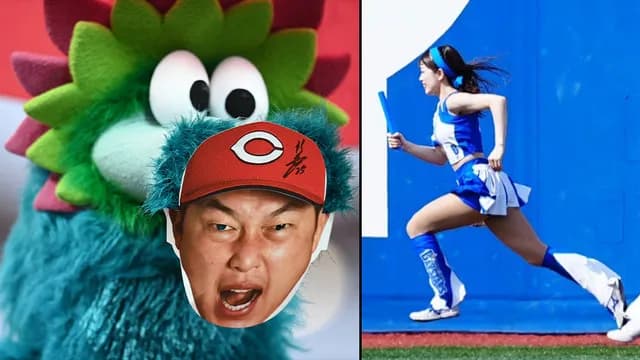 カープスラィリーはDeNAディアーナにリレー対決で勝てる説【ハマスタバトル】