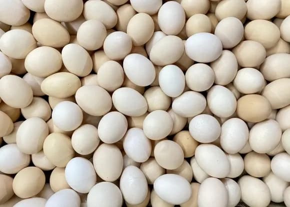 【急募】賞味期限が7日までの卵20個を使い切る方法ｗｗｗｗｗｗｗｗｗ