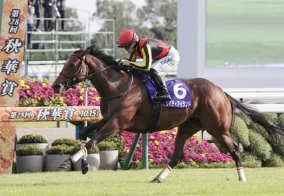 【疑問】「競馬は最悪の動物虐待」←この現実からみんなが逃げる理由・・・・