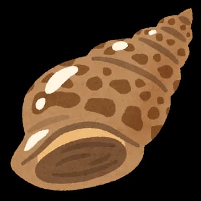 【画像あり】バイ貝とホッキ貝買ってきた！