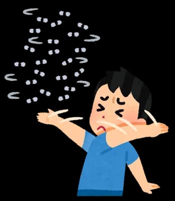 【悲報】コバエ、部屋の中で繁殖し始めるｗｗｗｗｗｗｗｗ