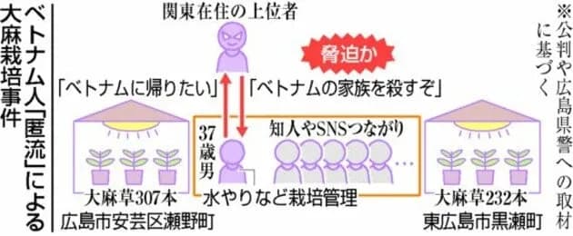 【朗報】広島地検さん、大麻農家のベトコンを不起訴処分ｗｗｗｗｗｗ