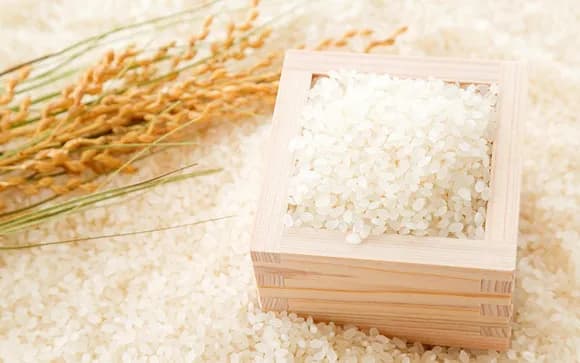 【悲報】農水省「すまん、またコメの値段上がっちゃった…」