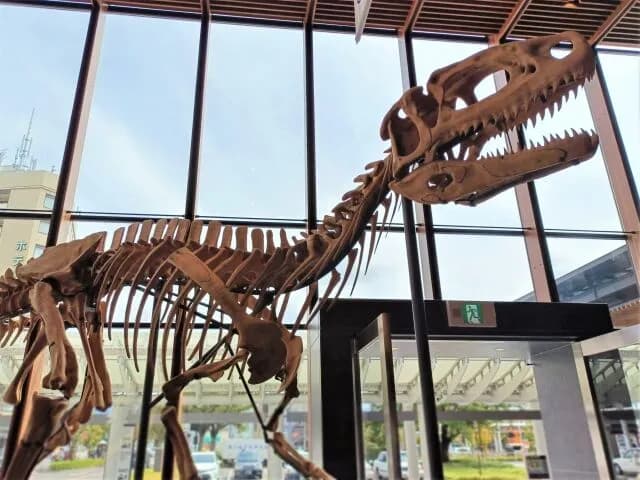 恐竜ってホンマに絶滅したんか？