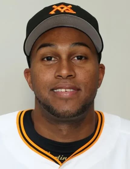 ライデル・マルティネス(巨)19試合18.2イニング防御率0.00 セーブ15