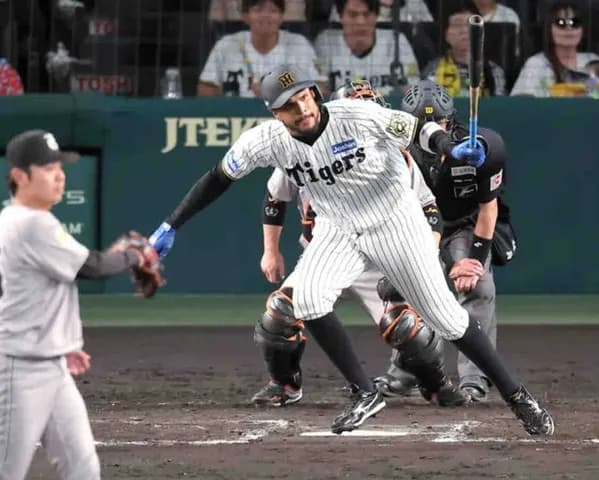 【阪神】虎のヘルナンデスが来日後初安打　代打で左前打　昼は２軍戦→１軍昇格即結果