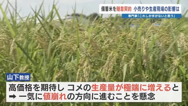 専門家が小泉農水大臣を痛烈批判「備蓄米が流通すると価格崩壊が起きて農家が生産しなくなり国民が困る