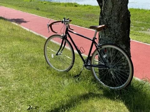 【悲報】自転車さん、罰金がキツすぎてほぼ使用不能へwwwww