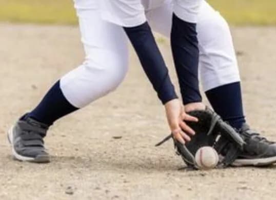 【悲報】阪神タイガース、打てるレフトがマジで見つからない問題wwwwwww