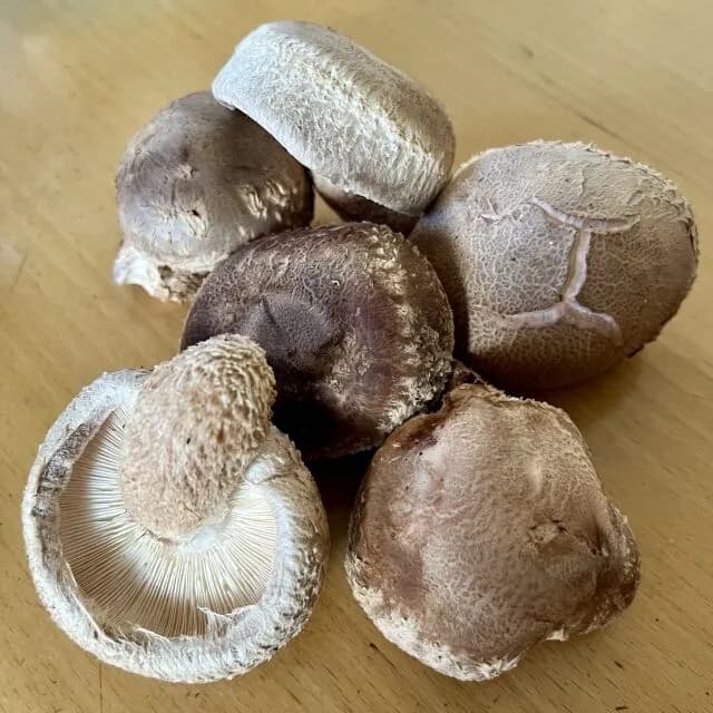 【緊急】｢しいたけ｣を使う料理