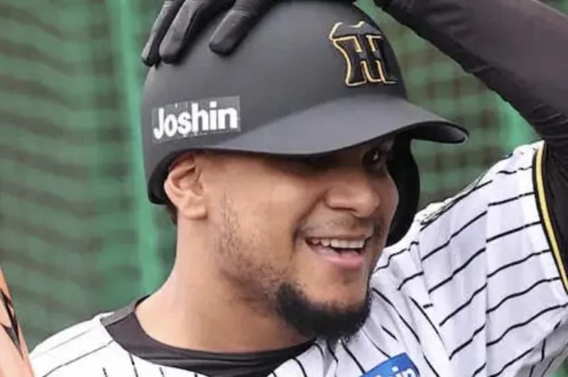 交流戦、阪神の指名打者って誰が適任なの？候補→ラモヘル、渡邉諒・・・