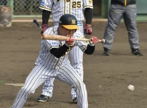 阪神タイガース『バント多用します』←お前らどう思ってんの？