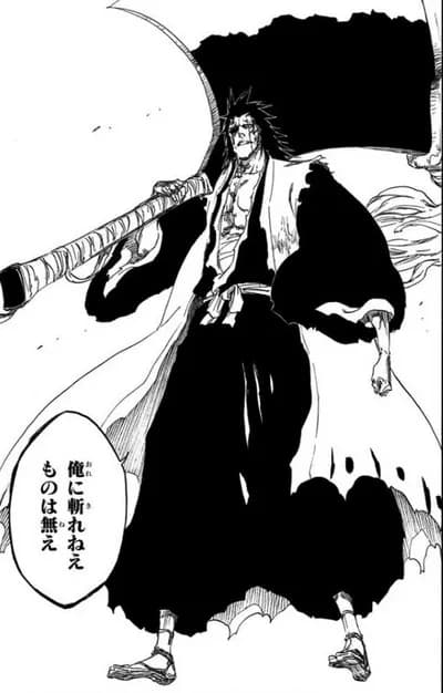 【悲報】ブリーチの更木剣八さん、何か覚醒したら最強みたいな雰囲気出してたのに戦績は微妙