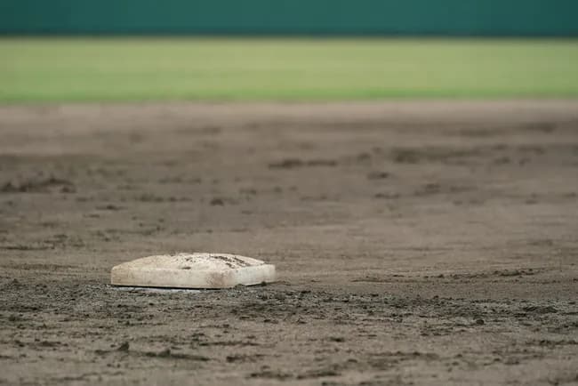 【大学野球】大商大が全日本大学野球選手権の出場を辞退　監督、正捕手が相次いで逮捕