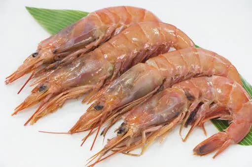 【怒報】ワイ「海老苦手なんだよね」馬鹿「え！？美味しいのに〜！