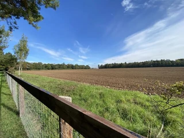 企業「大規模な農地を買い取って社員と派遣さんに農作業させよう！」←これなんでやらなんの？